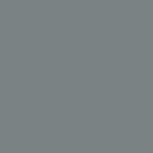 Afnor A624 - Gris Bleu Moyen Clair I Paint