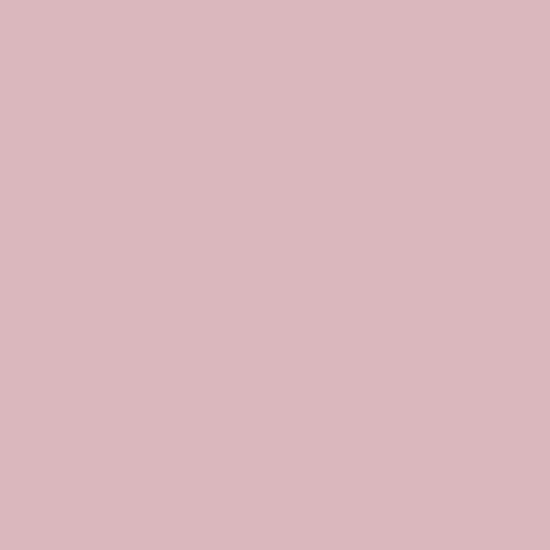 Afnor A860 - Rose Pourpre Gris Paint