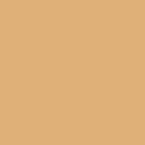 Dulux Trade 10yy 49/378 - Safari Spice Paint