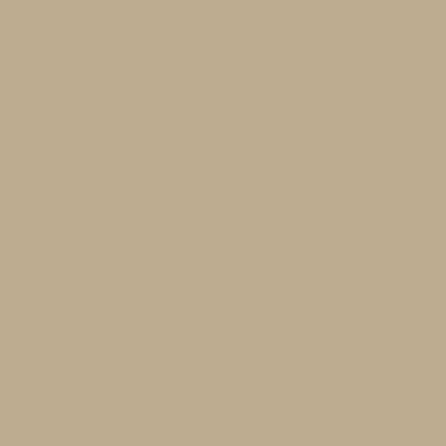 Federal Standard 595 B-33510 - Sandbeige Paint