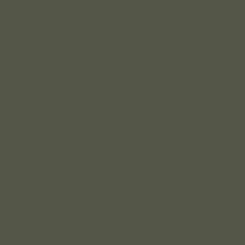 Federal Standard 595 B-34096 - Olive Mat Paint