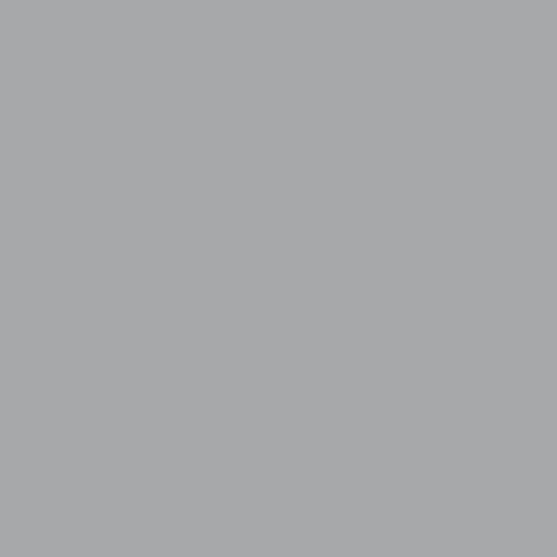 Federal Standard 595 B-36463 - Grigio Matt Paint