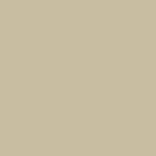 Federal Standard 595 B-36555 - Beige Mat Paint