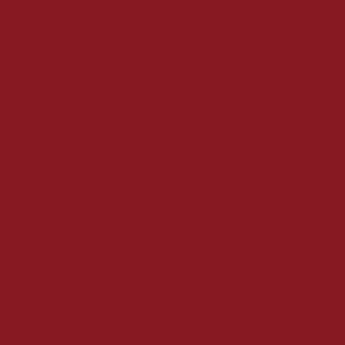 RAL 3003 Ruby Red  Spray Paint