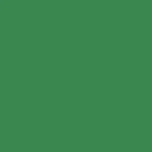 Image of BS 381c Bold Green 262 Paint