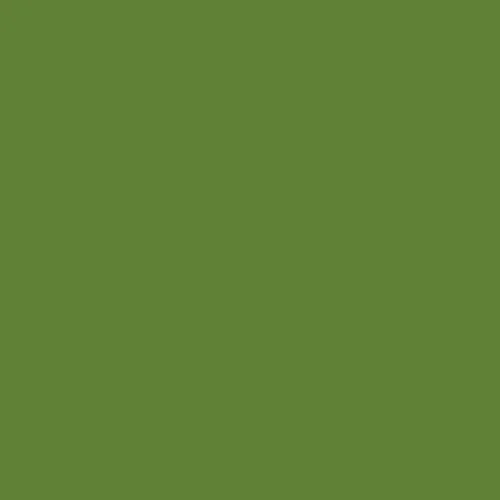 Image of BS 381c Grass Green 218 Paint