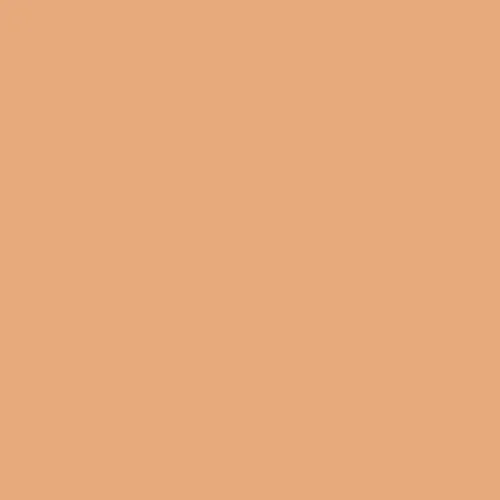 Image of BS 381c Salmon Pink 447 Paint