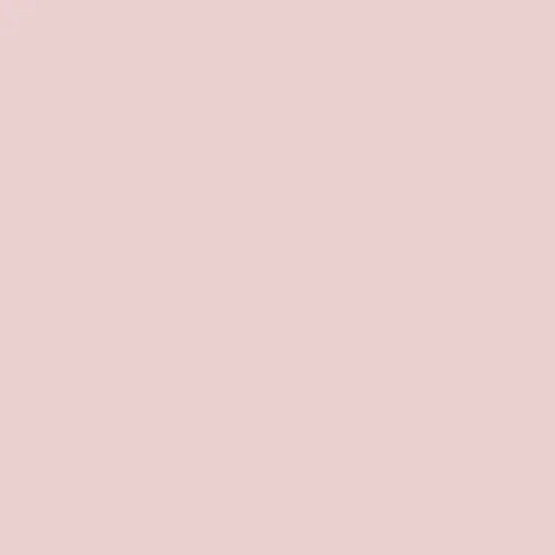 Image of Dulux Trade 90rr 68/090 - Adobe Pink 5 Paint