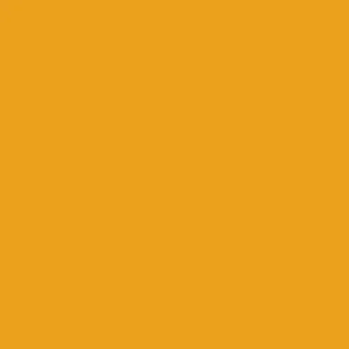 Image of Federal Standard 595 A-13538 - Giallo Paint