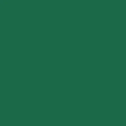 Image of Federal Standard 595 B-34090 - Green Mat Paint