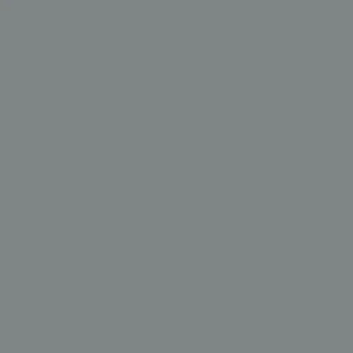 Image of Federal Standard 595 B-36231 - Grey Mat Paint
