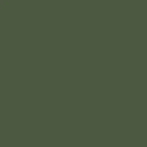Image of Master Chroma Cg6255 - Green 6255 Paint