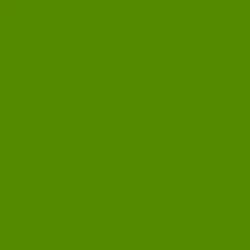 Image of Master Chroma Cg6305 - Green 6305 Paint