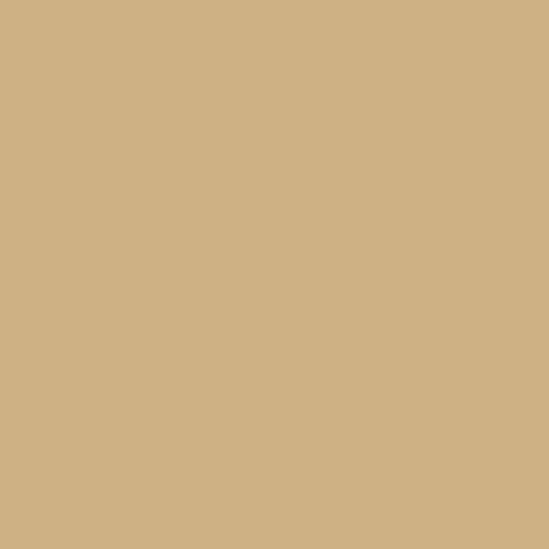 Image of Master Chroma Cn8090 - Brown 8090 Paint