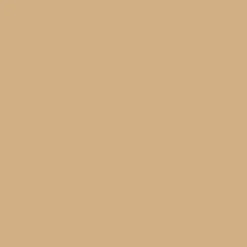 Image of Master Chroma Cn8095 - Brown 8095 Paint