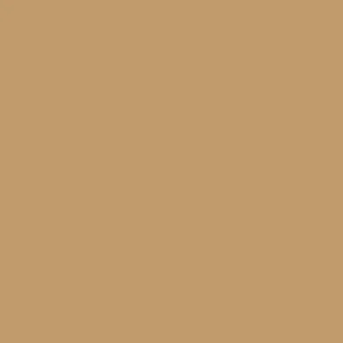 Image of Master Chroma Cn8105 - Brown 8105 Paint