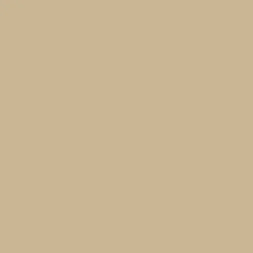 Image of Master Chroma Cn8115 - Brown 8115 Paint