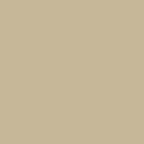 Image of Master Chroma Cn8120 - Brown 8120 Paint