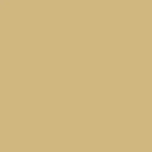 Image of Master Chroma Cn8140 - Brown 8140 Paint