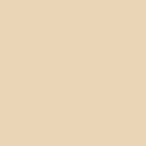 Image of Master Chroma Cn8155 - Brown 8155 Paint