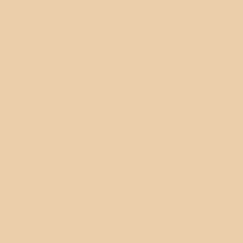 Image of Master Chroma Cn8160 - Brown 8160 Paint