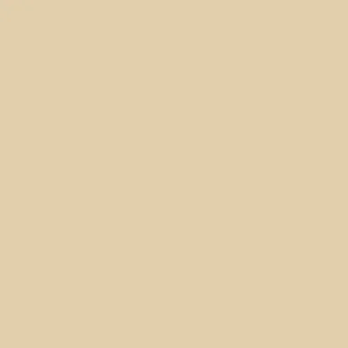 Image of Master Chroma Cn8165 - Brown 8165 Paint
