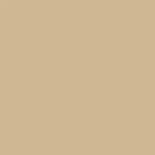 Image of Master Chroma Cn8190 - Brown 8190 Paint