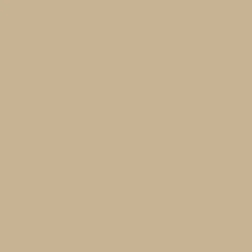 Image of Master Chroma Cn8195 - Brown 8195 Paint