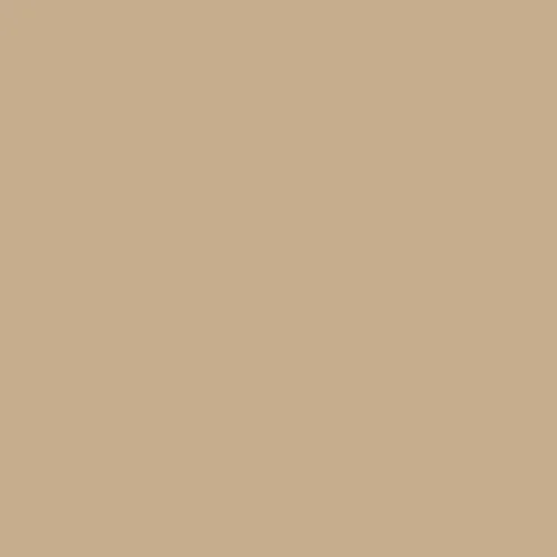 Image of Master Chroma Cn8200 - Brown 8200 Paint