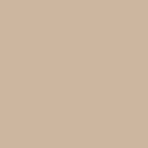 Image of Master Chroma Cn8285 - Brown 8285 Paint