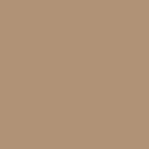 Image of Master Chroma Cn8295 - Brown 8295 Paint