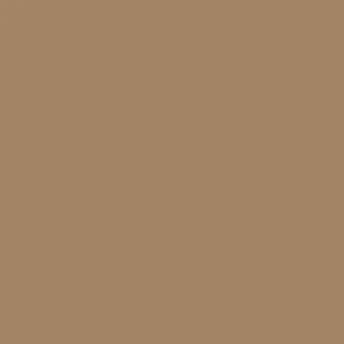 Image of Master Chroma Cn8300 - Brown 8300 Paint