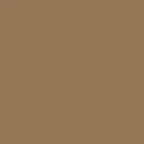 Image of Master Chroma Cn8305 - Brown 8305 Paint