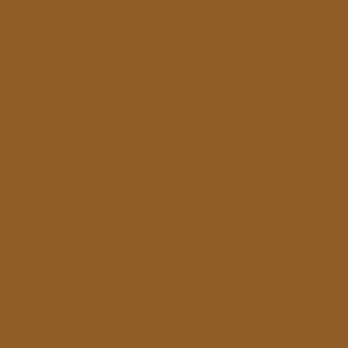 Image of Master Chroma Cn8355 - Brown 8355 Paint