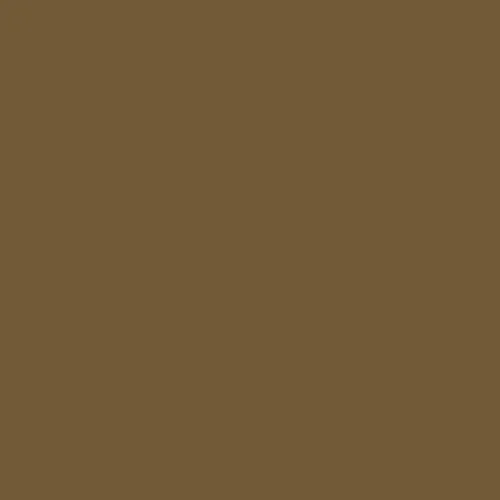 Image of Master Chroma Cn8390 - Brown 8390 Paint