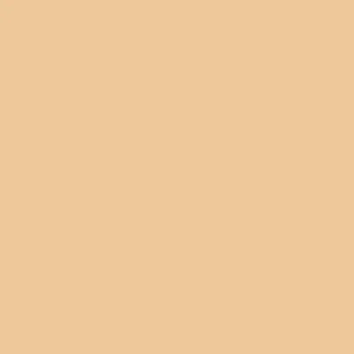 Image of Master Chroma Cn8445 - Brown 8445 Paint