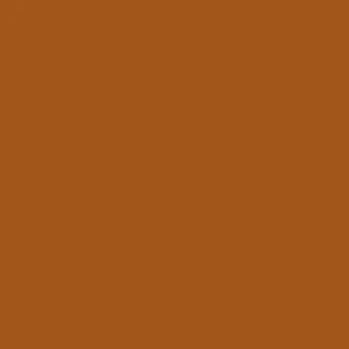 Image of Master Chroma Cn8500 - Brown 8500 Paint