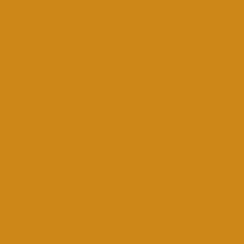 Image of Master Chroma Cn8510 - Brown 8510 Paint