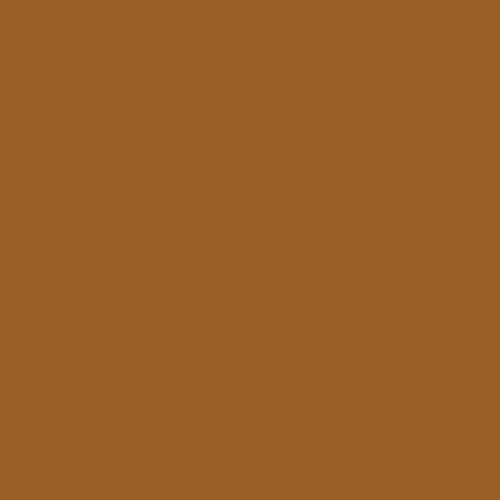 Image of Master Chroma Cn8545 - Brown 8545 Paint