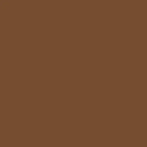 Image of Master Chroma Cn8580 - Brown 8580 Paint