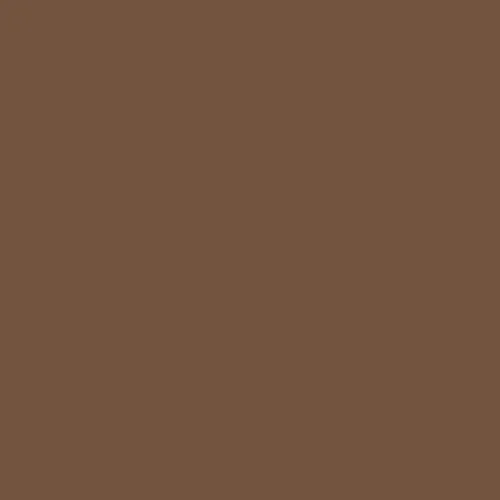 Image of Master Chroma Cn8585 - Brown 8585 Paint