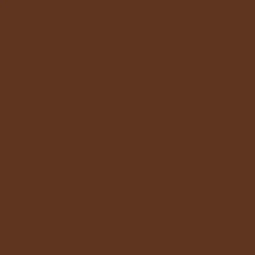 Image of Master Chroma Cn8605 - Brown 8605 Paint