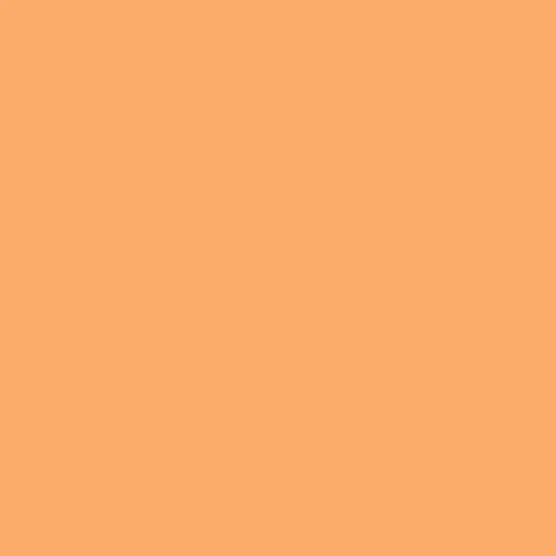 Image of Master Chroma Co2080 - Orange 2080 Paint