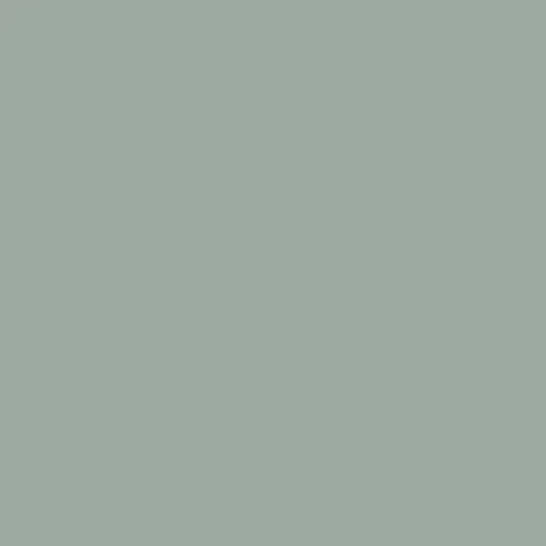 Image of Master Chroma Cp7225 - Grey 7225 Paint