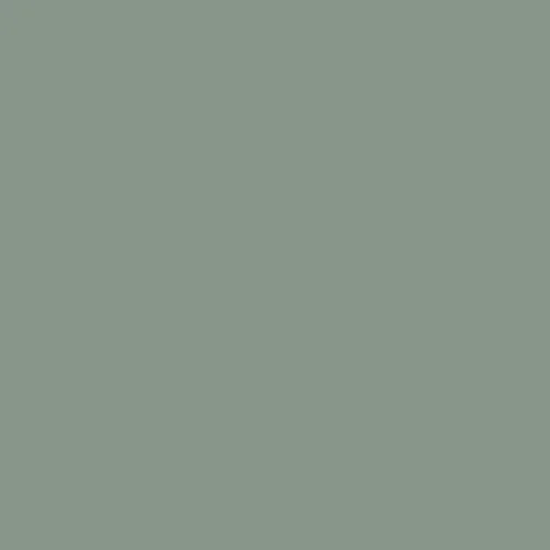 Image of Master Chroma Cp7230 - Grey 7230 Paint