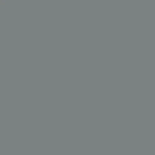 Image of Master Chroma Cp7405 - Grey 7405 Paint