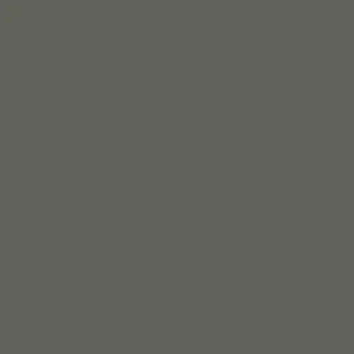 Image of Master Chroma Cp7620 - Grey 7620 Paint