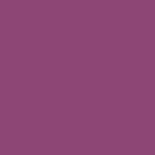 Image of Master Chroma Cv4405 - Violet 4405 Paint
