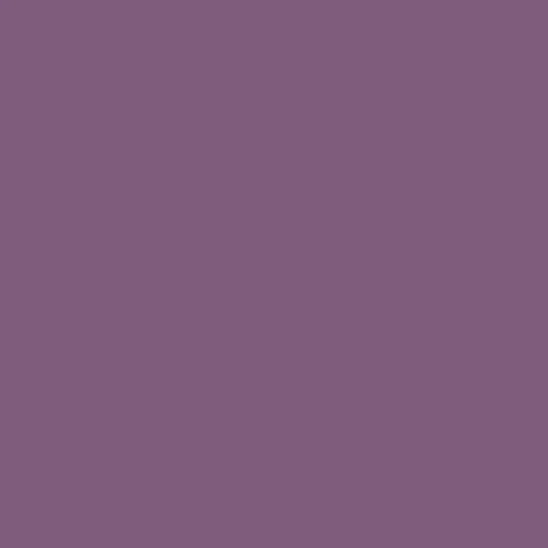Image of Master Chroma Cv4450 - Violet 4450 Paint