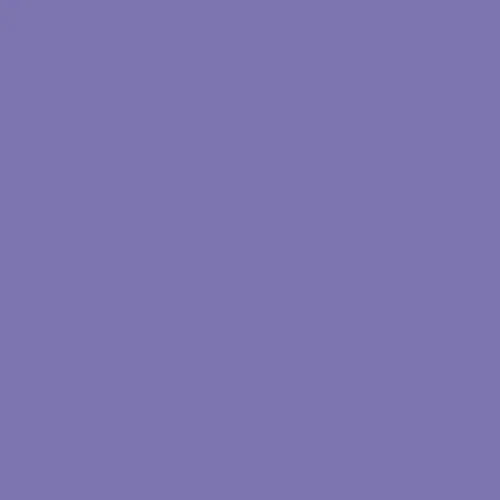 Image of Master Chroma Cv4470 - Violet 4470 Paint